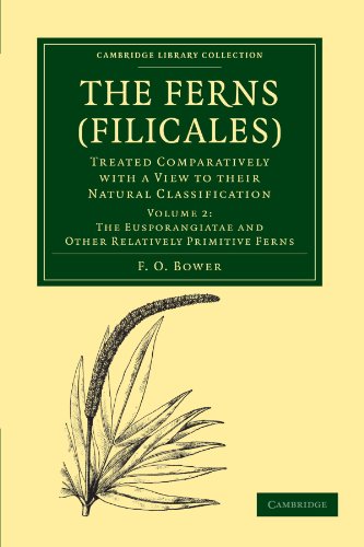 

general-books/history/the-ferns-filicales-volume-2-the-eusporangiatae-and-other-relatively-primitive-ferns-treated-comparatively-with-a-view-to-their-natural--9781108013178
