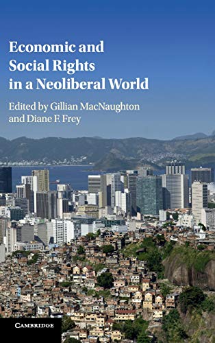 

technical/economics/economic-and-social-rights-in-a-neoliberal-world-9781108418157