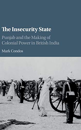

general-books/general/the-insecurity-state--9781108418317