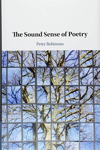 

technical/english-language-and-linguistics/the-sound-sense-of-poetry-9781108422963