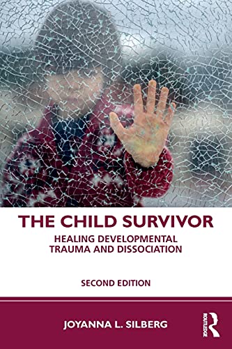 

general-books/general/the-child-survivor-9781138044791