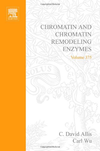 

special-offer/special-offer/methods-in-enzymology-vol-375-chromatin-and-chromatin-remodeling-enzymes--9780121827793
