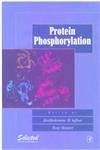 

special-offer/special-offer/protein-phosphorylation--9780126344905
