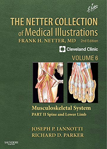 

surgical-sciences/orthopedics/the-netter-collection-of-medical-illustrations-musculoskeletal-system-volume-6-part-ii---spine-and-lower-limb-2e-9781416063827