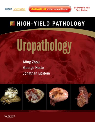 

mbbs/3-year/uropathology-high-yield-pathology-9781437725230