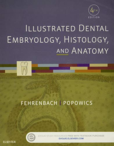 

dental-sciences/dentistry/illustrated-dental-embryology-histology-and-anatomy-4e-9781455776856