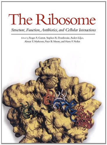 basic-sciences/microbiology/the-ribosome-structure-function-antibiotics-and-cellular-interactions-9781555811846