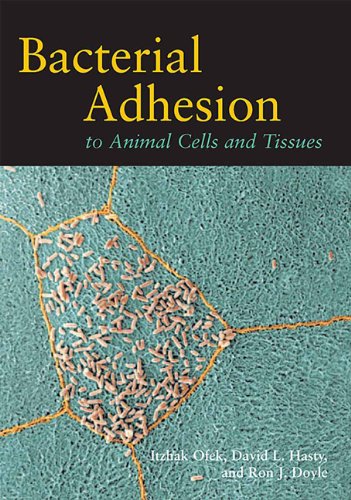 

basic-sciences/microbiology/bacterial-adhesion-to-animal-cells-and-tissues-9781555812638