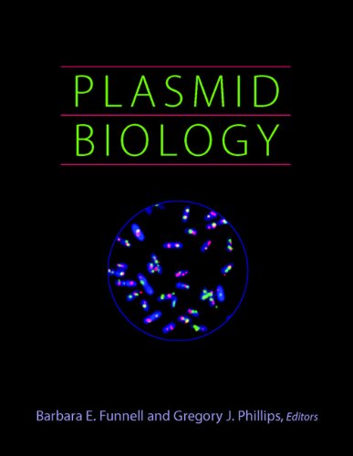 

mbbs/2-year/plasmid-biology-9781555812652