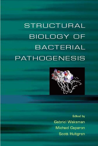

mbbs/2-year/structural-biology-of-bacterial-pathogeneisis-9781555813017