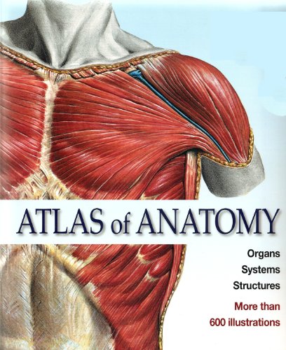 

mbbs/1-year/atlas-of-anatomy-organs-systems-structure--9781568528021