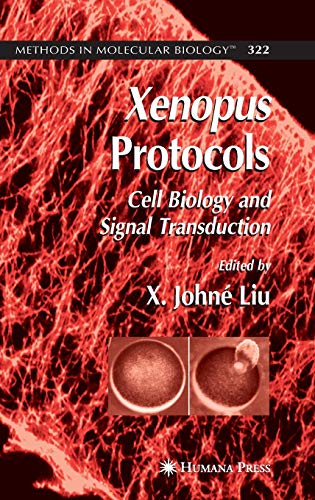 

general-books/general/xenopus-protocols-cell-biology-and-signal-transduction--9781588293626