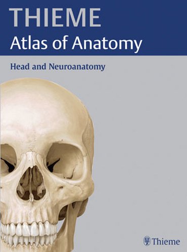 

exclusive-publishers/thieme-medical-publishers/thieme-atlas-of-anatomy-head-and-neuroanatomy-9781588904416