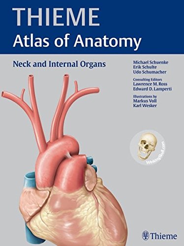 

exclusive-publishers/thieme-medical-publishers/neck-and-internal-organs-9781604062885