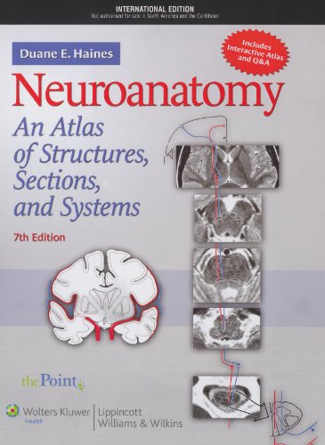 

exclusive-publishers/lww/neuroanatomy-an-atlas-of-structures-sections-and-systems-7ed--9781608314911