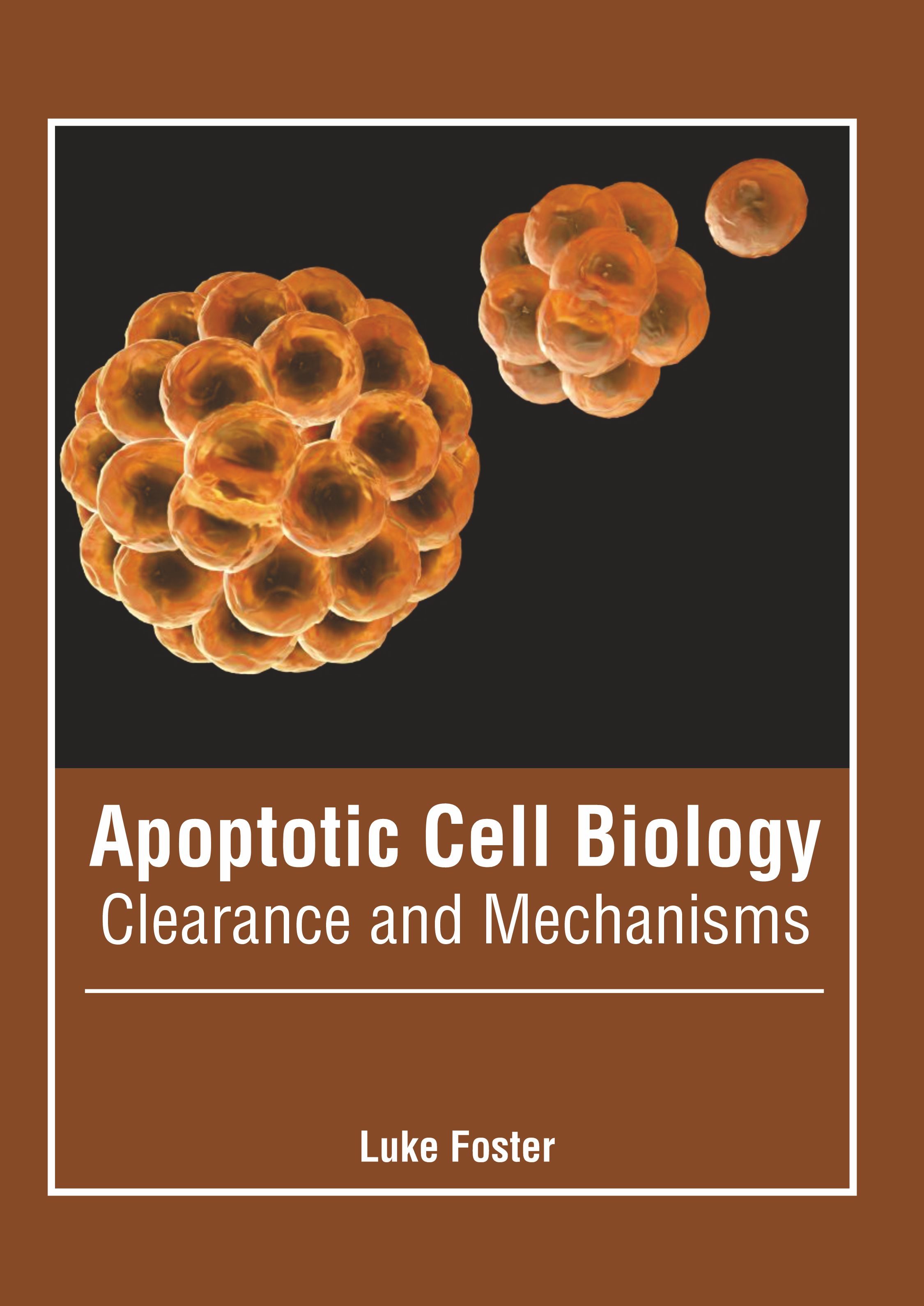 

exclusive-publishers/american-medical-publishers/apoptotic-cell-biology-clearance-and-mechanisms-9781639270415