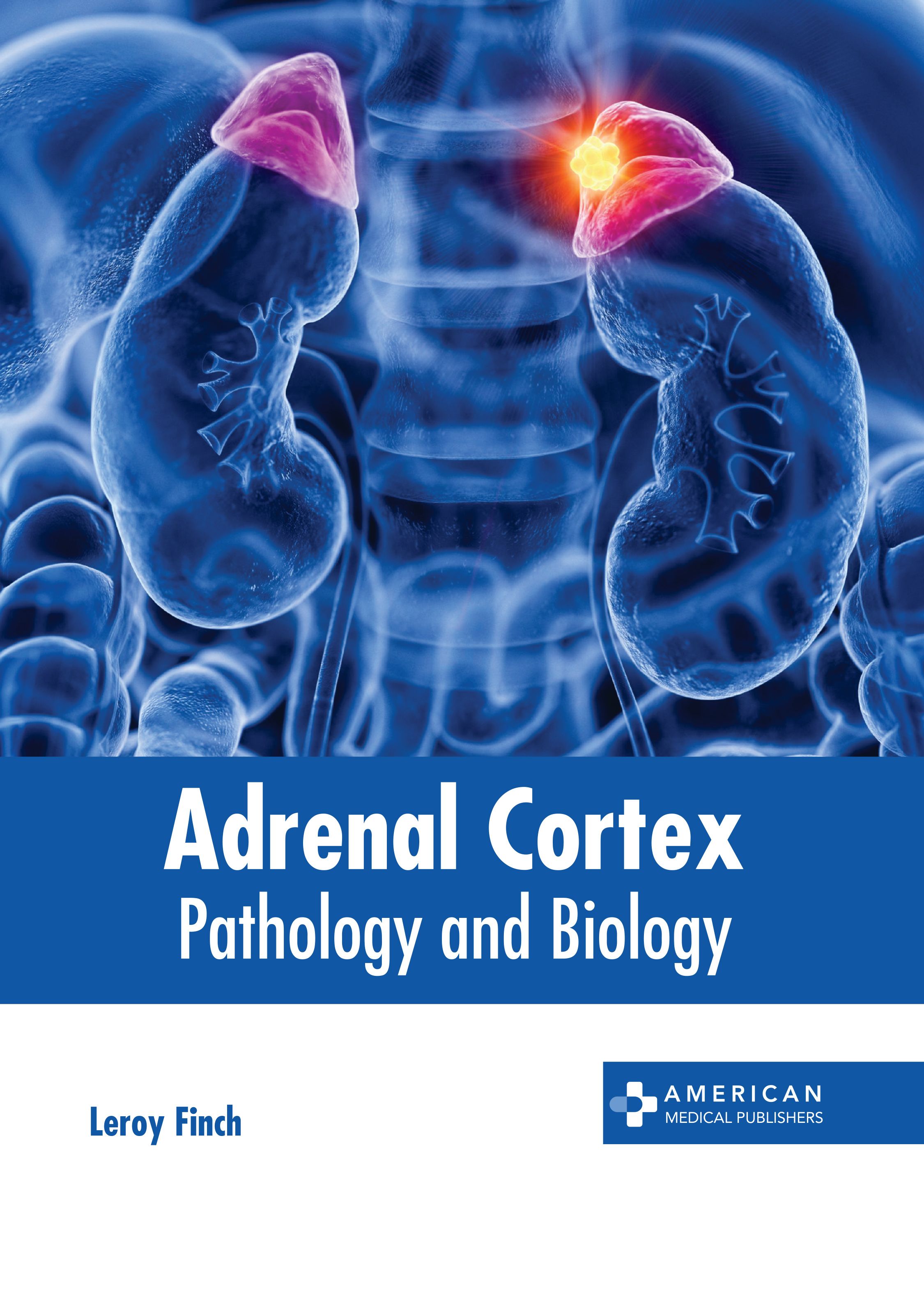

exclusive-publishers/american-medical-publishers/adrenal-cortex-pathology-and-biology-9781639278534