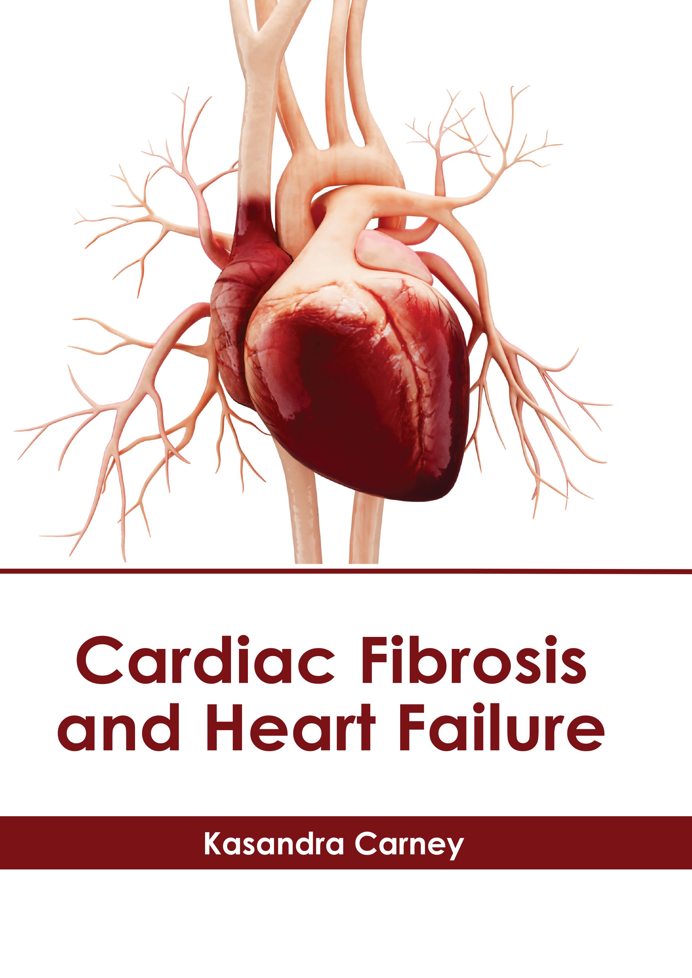 

exclusive-publishers/american-medical-publishers/cardiac-fibrosis-and-heart-failure-9781639279609