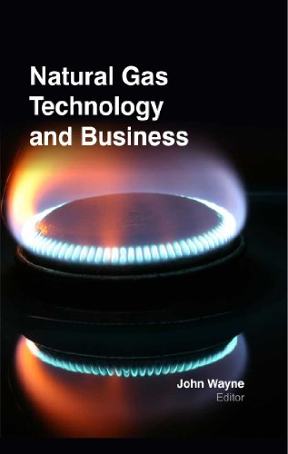 

technical/chemistry/natural-gas-technology-business--9781781541296