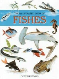 

general-books/fishries/the-illustrated-book-of-fishes--9781840670455