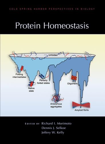 

basic-sciences/psm/protein-homeostasis-9781936113064
