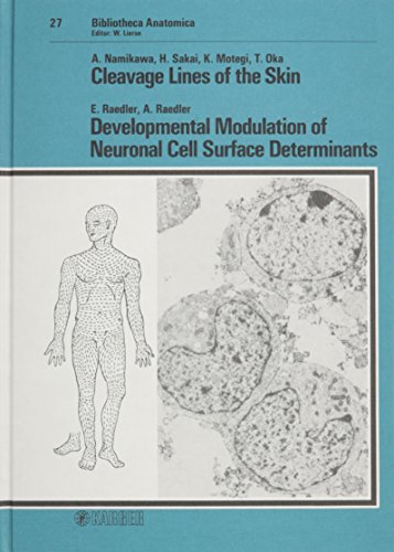 

special-offer/special-offer/cleavage-lines-of-the-skin-developmental-modulation-of-neuronal-cell-surface-determinants-bibliotheca-anatomica--9783805542029