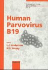 

special-offer/special-offer/human-parvovirus-b-19--9783805563536
