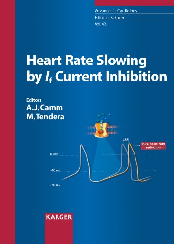 

clinical-sciences/cardiology/heart-rate-slowing-by-if-current-inhibition--9783805581608