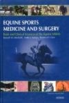 

special-offer/special-offer/equine-sports-medicine-and-surgery-basic-and-clinical-sciences-of-the-equ--9780702026713