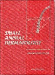

special-offer/special-offer/small-animal-dermatology--9780721624167