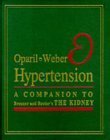 

special-offer/special-offer/hypertension-a-companion-to-brenner-and-rector-s-the-kidney--9780721677644