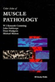 

special-offer/special-offer/color-atlas-of-muscle-pathology--9780723420163