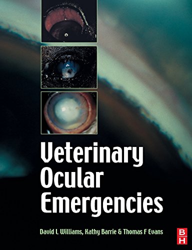 

special-offer/special-offer/handbook-of-veterinary-ocular-emergencies-1e--9780750635608