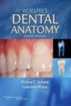 

special-offer/special-offer/woelfel-s-dental-anatomy-its-relevance-to-dentistry-7ed--9780781768603