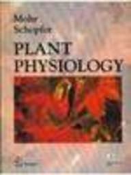 

special-offer/special-offer/plant-physiology--9788181284013