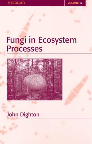 

special-offer/special-offer/fungi-in-ecosystem-processes--9780824742447