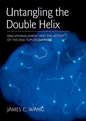

special-offer/special-offer/untangling-the-double-helix-dna-entanglement-and-the-action-of-the-dna-topoisomerases-hb--9780879698638