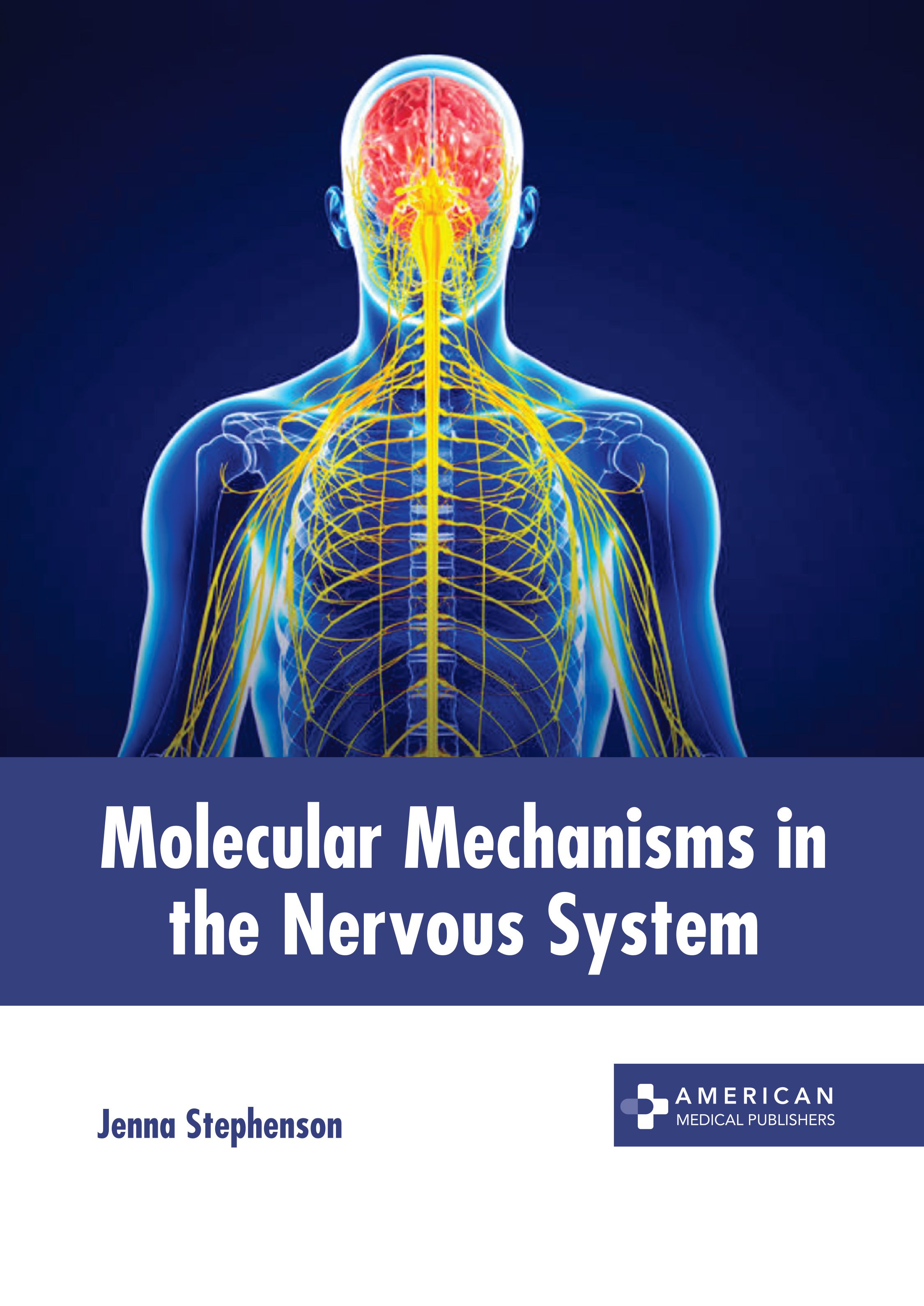 

exclusive-publishers/american-medical-publishers/molecular-mechanisms-in-the-nervous-system-9798887402789