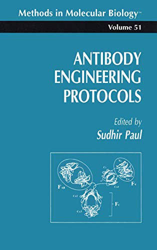 

special-offer/special-offer/antibody-engineering-protocols--9780896032750