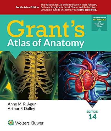 

mbbs/1-year/grant-s-atlas-of-anatomy-14-ed-9789351296065