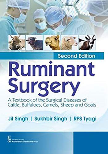 

best-sellers/cbs/ruminant-surgery-2ed-pb-2021--9789387964167